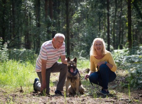 Nara, rescued from a dog meat farm