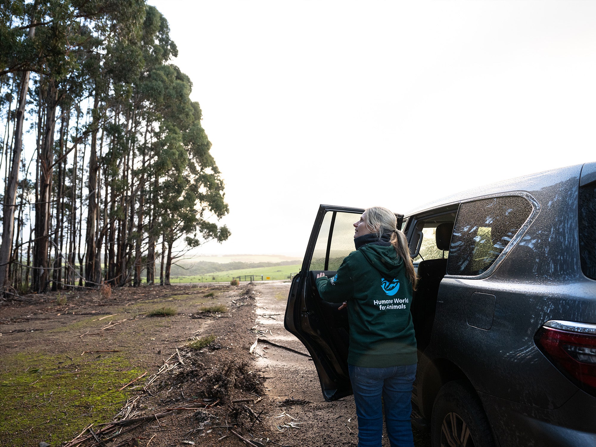 Humane World for Animals staff member observes a eucalyptus tree plantations on Kangaroo Island, Australia