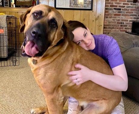 Drax, rescued from dog meat farm 16