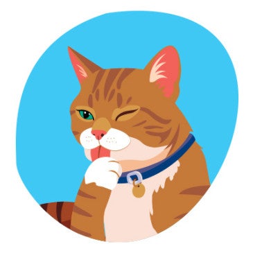 Illustration of an orange tabby cat licking it's paw.