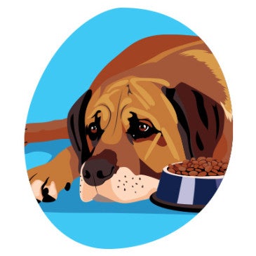 Illustration of a sad dog laying on the ground, looking away from a metal dog bowl filled with food that lies next to him.