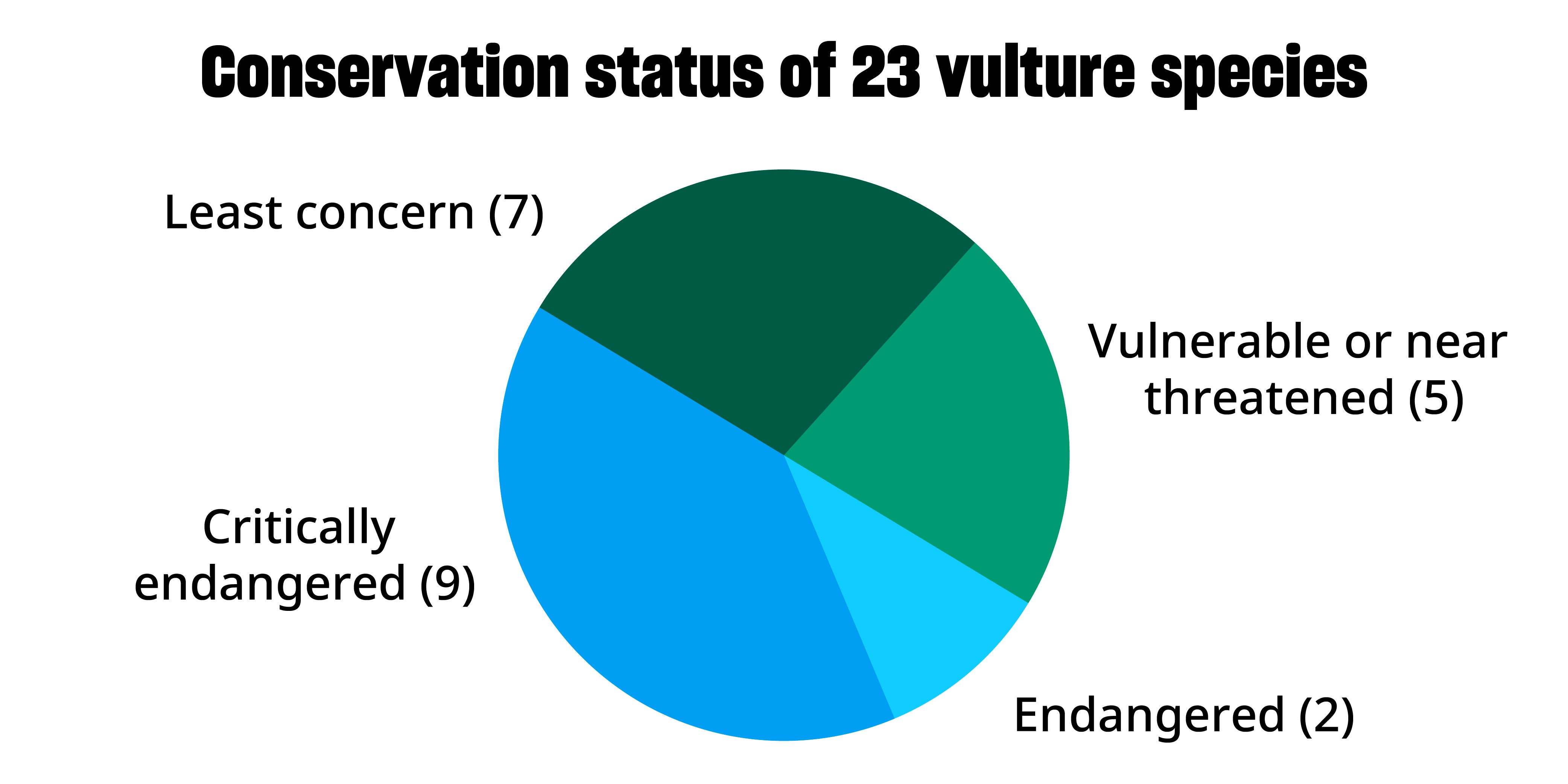 A pie chart that shows the number of vulture species in each conservation status