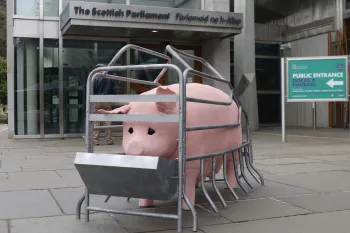 Penny, the animatronic pig in a replica farrowing crate, outside the Scottish Parliament in Holyrood, Edinburgh as part of Humane World for Animals UK's Crate Britain Tour, August 2025.