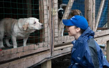 HSUS staff with a dog being rescued from a large-scale alleged severe neglect case in Florida