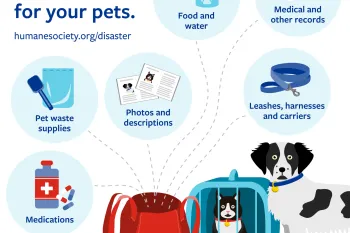 Prepare an emergency kit for your pets