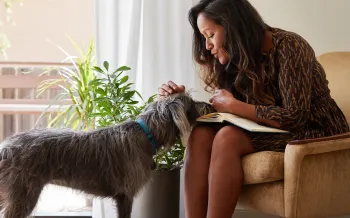 A shy dog approaches a woman who comforts him