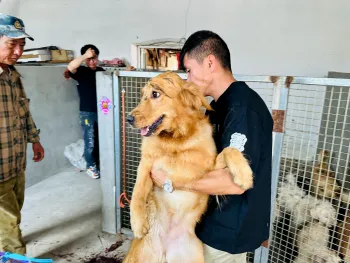Activists rescue dogs from a Yulin slaughterhouse, June 2023