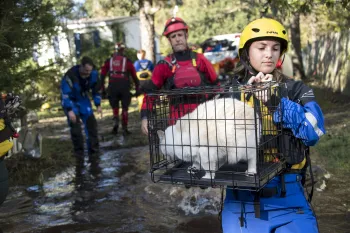 Staff members from the Humane Society of the United States Animal Rescue Team and the San Diego Humane Society work to rescue 12 cats from a flooded home in South Carolina after Hurricane Florence.