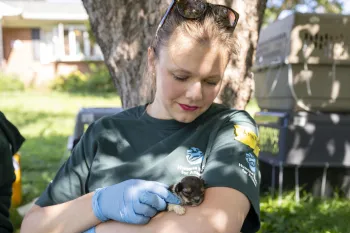 an animal rescue responder holding a small puppy