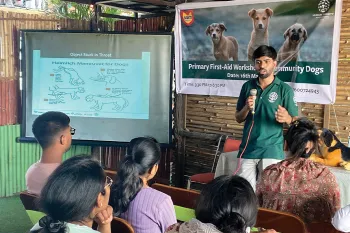 A workshop in session showing how to provide first aid to street dogs.