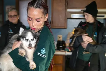 A staffer holds a dog at a rescue