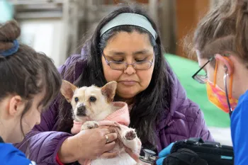 Brandi Markishtum holds pup Lola for a veterinary exam by veterinarian Colleen Cassidy, right, and veterinary assistant Sara Michelassi during the RAVS clinic serving the Quinault Nation.