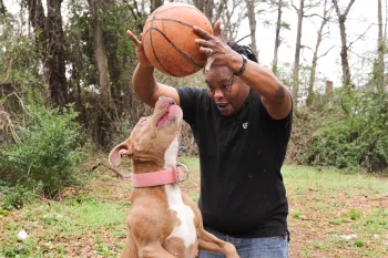 Man and his dog play with a basketball