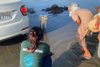 India's disaster response team is providing relief in some of the worst flood-affected regions of Punjab.