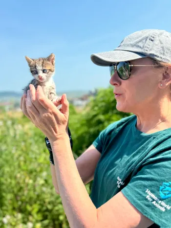 A person in a green tshirt and baseball cap happily holds a kitten in front of a green plants