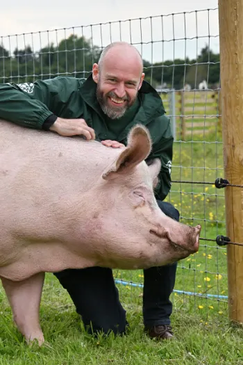 A man in a green jacket kneels next to and pets a large, pink pig in front of a wire fence in a green field.
